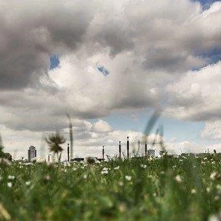 Software Tester Wordt Weerman Betabit