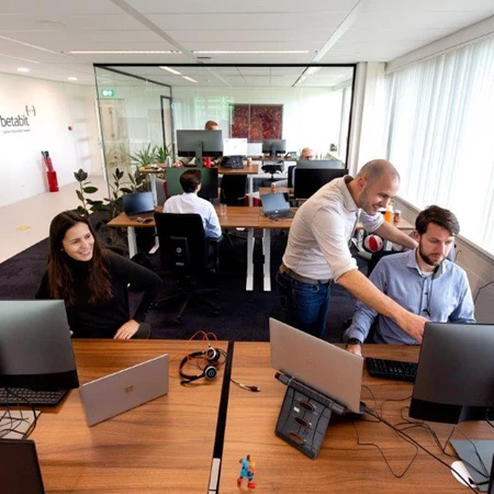 Software Blueprint Software Product Betabit